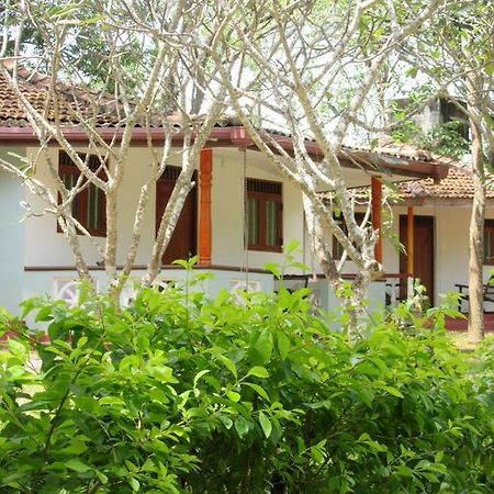 Calm Garden Cabanas Tangalle Exterior photo