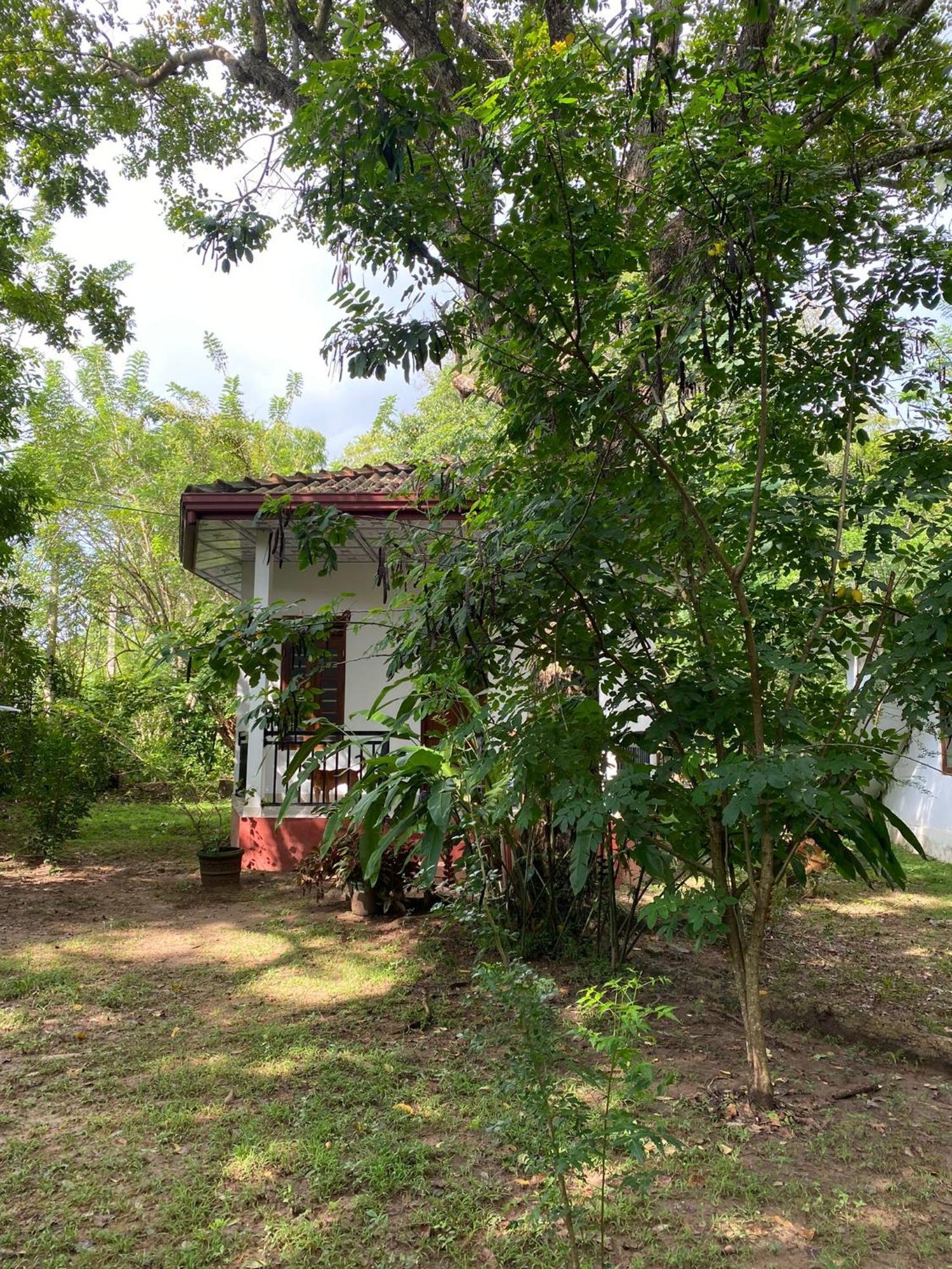 Calm Garden Cabanas Tangalle Exterior photo